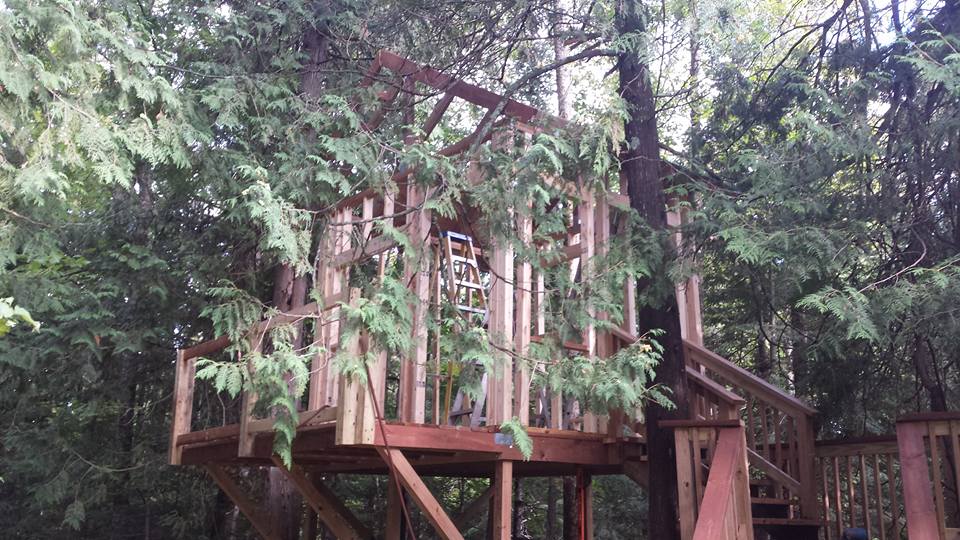 Sitecore and the Tree&nbsp;House.